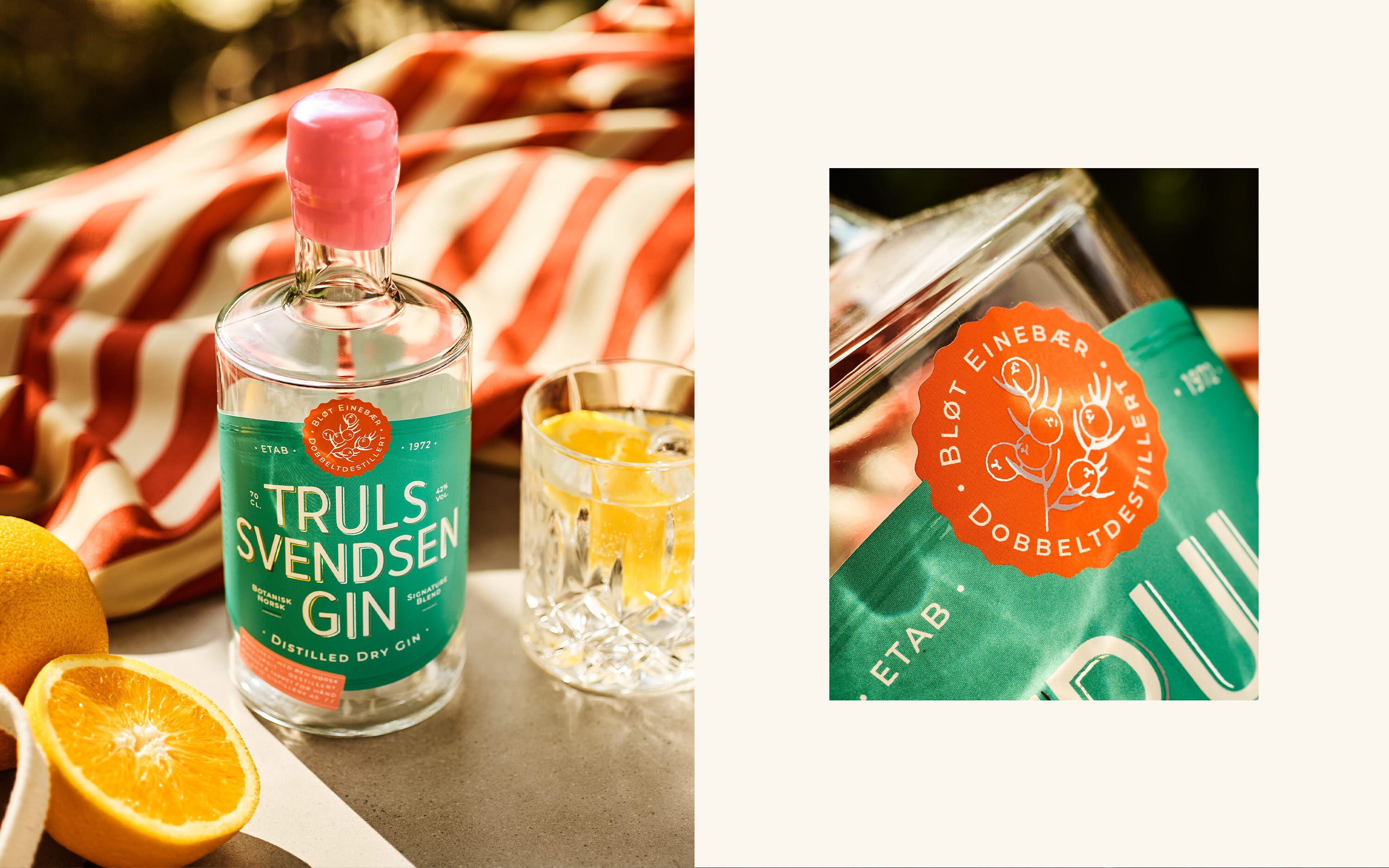 Gin web 2