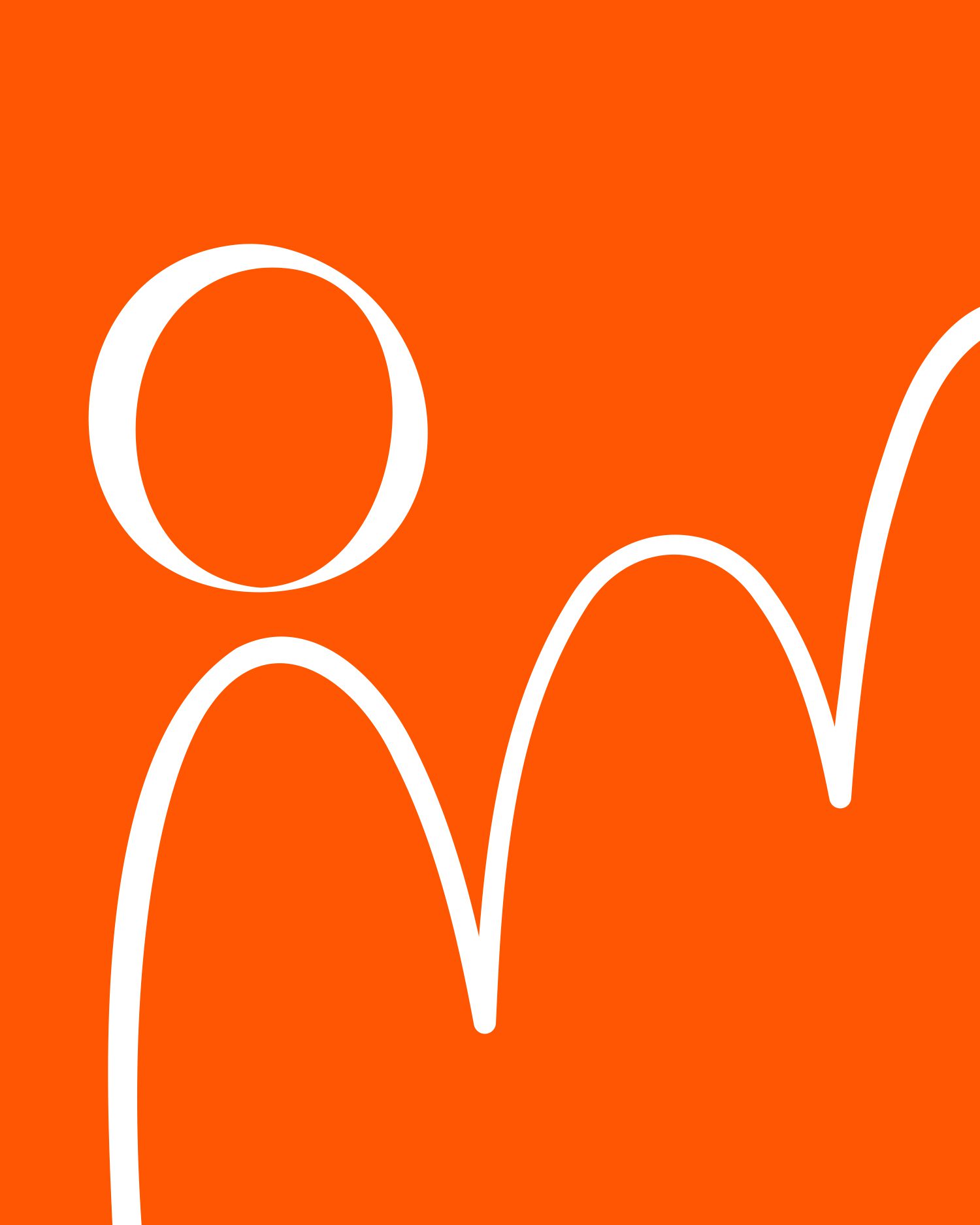 Insa web 9